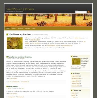 Find the Best WordPress Themes