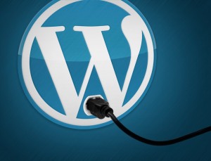 Pros and Cons of WordPress Plugins