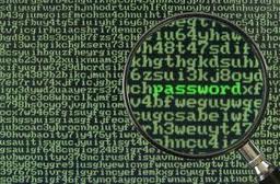 How to Decode a WordPress Theme