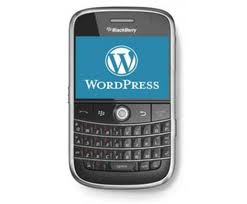 WordPress WP Touch Plugin