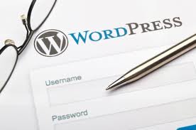 Top Reasons Website Designers Should Use WordPress