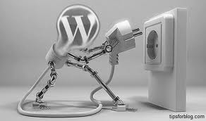 WordPress Widget vs. Plugin